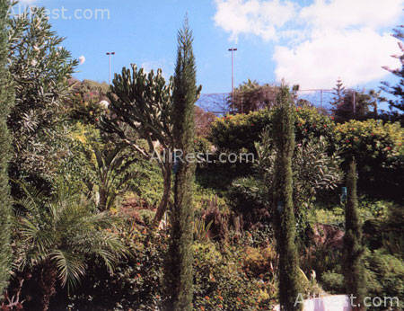 Grecian Sands Hotel 11
